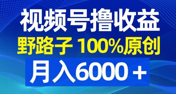 视频号野路子撸收益，100%原创，条条爆款，月入6000＋【揭秘】-简创项目网