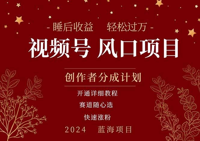 拥有睡眠收益的微信视频号大风口项目，轻松月入过万+，多赛道选择，可…-简创项目网
