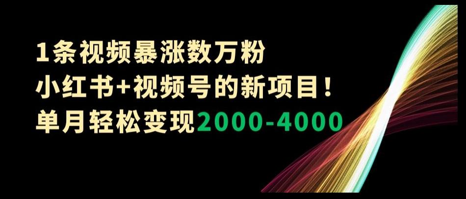 1条视频暴涨数万粉–小红书+视频号的新项目！单月轻松变现2000-4000【揭秘】-简创项目网