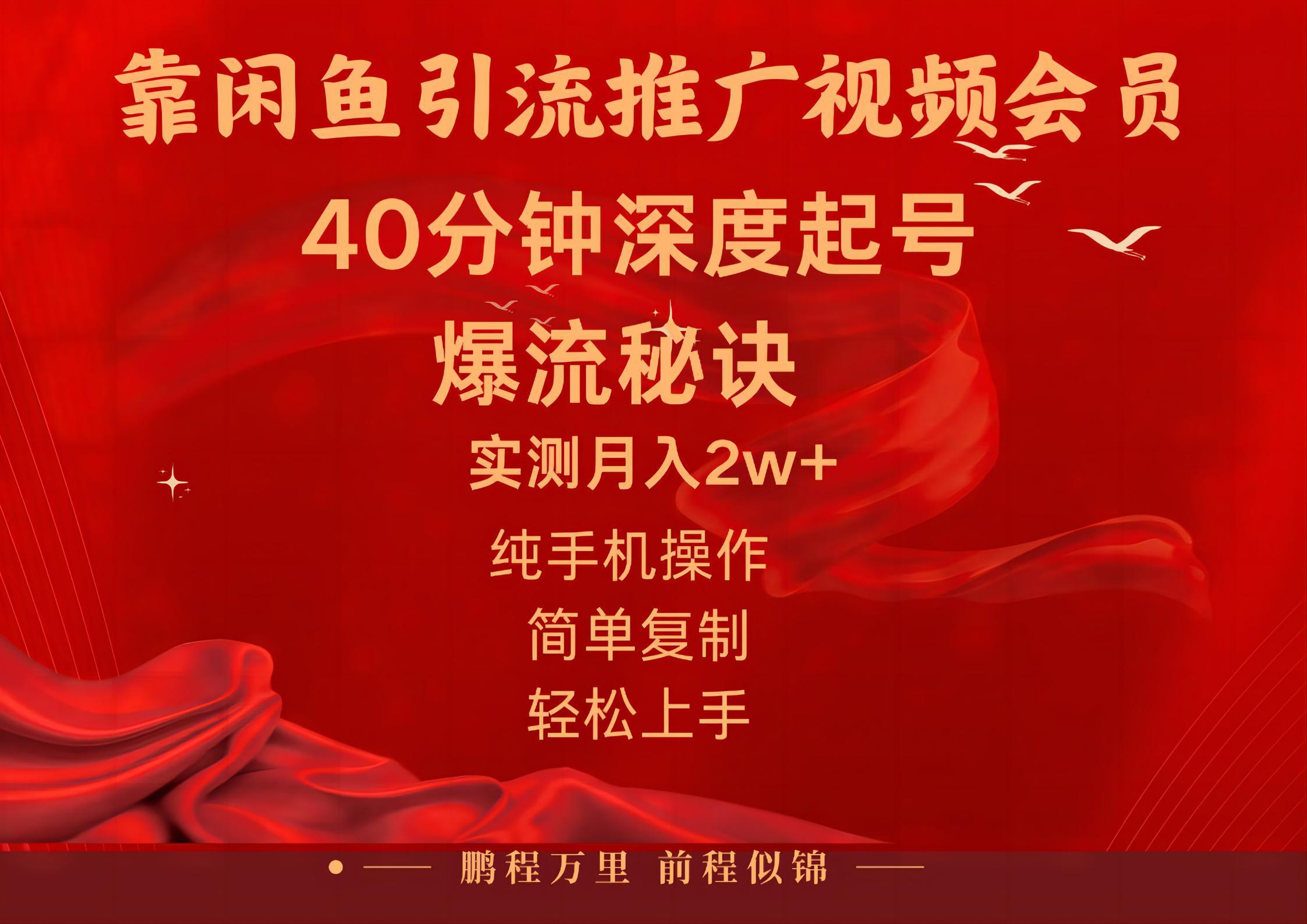 闲鱼暴力引流推广视频会员，能做到日入2W+，操作简单-简创项目网