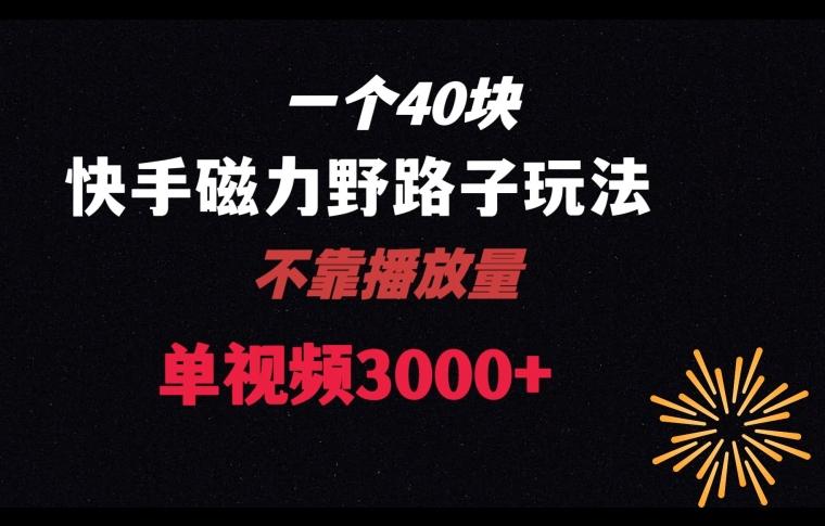 一个40块，快手联合美团磁力新玩法，无视机制野路子玩法，单视频收益4位数【揭秘】-简创项目网