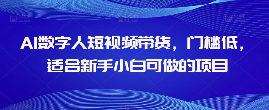 AI数字人短视频带货，门槛低，适合新手小白可做的项目-简创项目网
