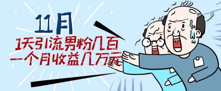 11月最新每天引流男粉300+一个月收益几万元-简创项目网