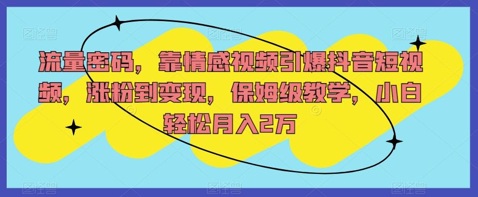 流量密码，靠情感视频引爆抖音短视频，涨粉到变现，保姆级教学，小白轻松月入2万【揭秘】-简创项目网