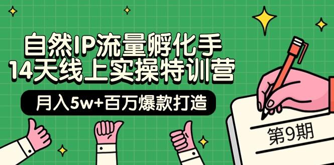 (9881期)自然IP流量孵化手 14天线上实操特训营【第9期】月入5w+百万爆款打造 (74节)-简创项目网