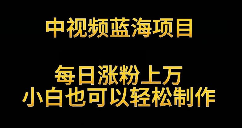 中视频蓝海项目，解读英雄人物生平，每日涨粉上万，小白也可以轻松制作，月入过万不是梦【揭秘】-简创项目网