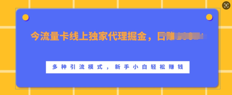 流量卡线上独家代理掘金，日入1k+ ，多种引流模式，新手小白轻松上手【揭秘】-简创项目网
