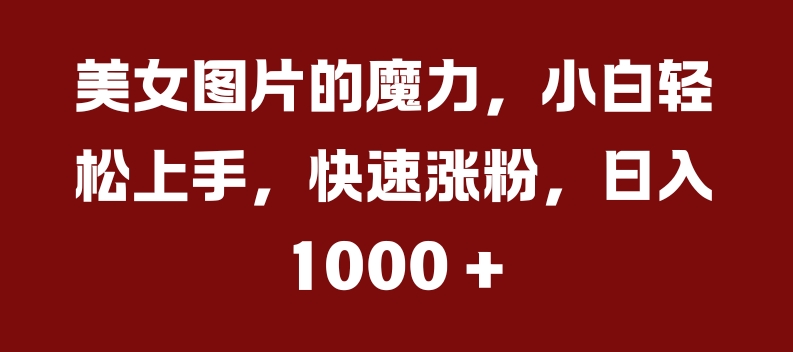 美女图片的魔力，小白轻松上手，快速涨粉，日入几张【揭秘】-简创项目网