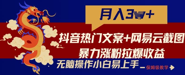 抖音热门文案+网易云截图暴力涨粉拉爆收益玩法，小白无脑操作，简单易上手【揭秘】-简创项目网