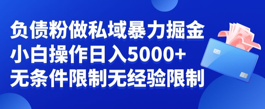 负债粉私域暴力掘金，小白操作入5000，无经验限制，无条件限制【揭秘】-简创项目网