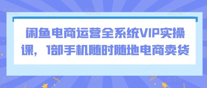 闲鱼电商运营全系统VIP实操课，1部手机随时随地电商卖货-简创项目网