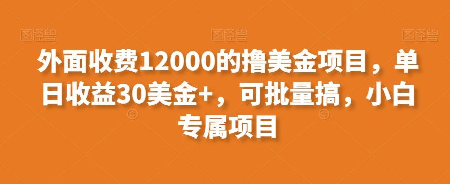 外面收费12000的撸美金项目，单日收益30美金+，可批量搞，小白专属项目-简创项目网