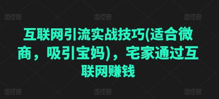 互联网引流实战技巧(适合微商，吸引宝妈)，宅家通过互联网赚钱-简创项目网