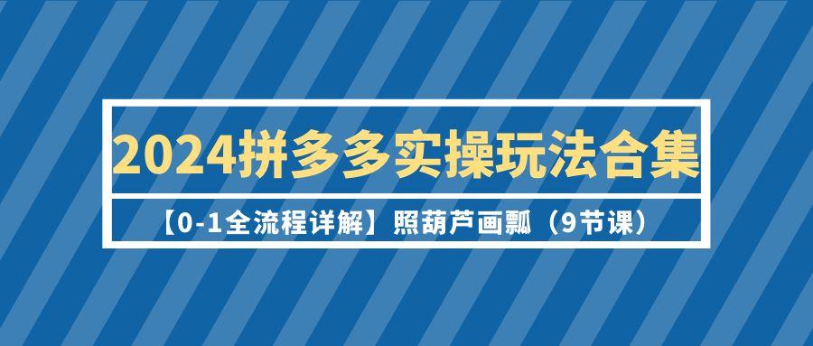 (9559期)2024拼多多实操玩法合集【0-1全流程详解】照葫芦画瓢(9节课)-简创项目网