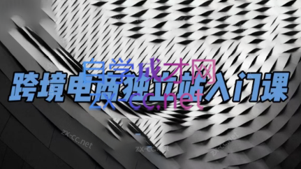 团长·跨境电商独立站入门课(2小时精华)-简创项目网