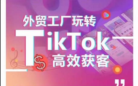 外贸工厂玩转TikTok高效获客，多种引流方式与账号定位技巧，拆解爆款短视频打造成功案例-简创项目网