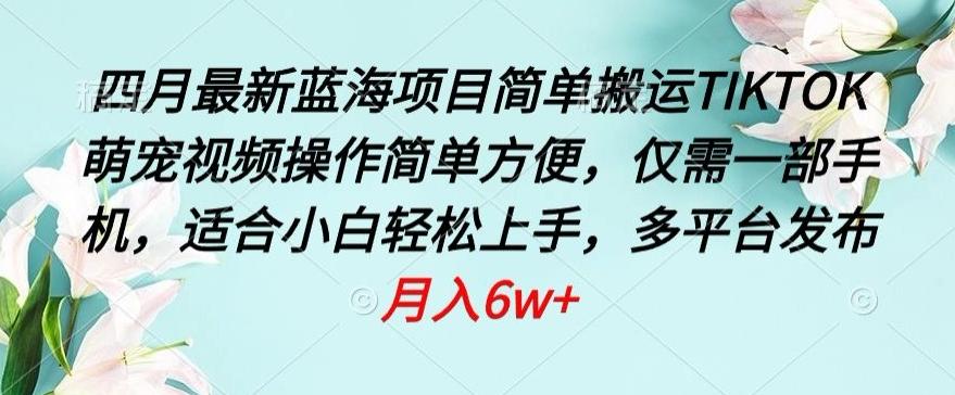 四月最新蓝海项目，简单搬运TIKTOK萌宠视频，操作简单方便，仅需一部手机【揭秘】-简创项目网
