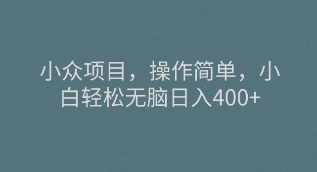 小众项目，操作简单，小白轻松无脑日入400+-简创项目网