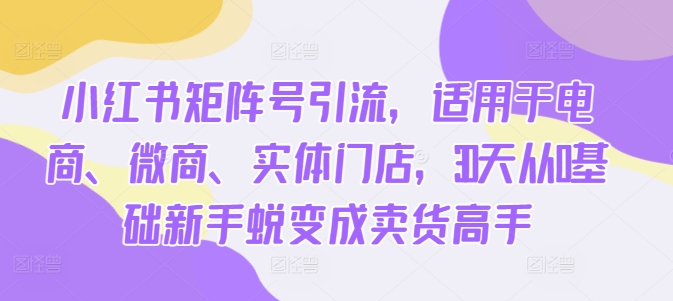 小红书矩阵号引流，适用于电商、微商、实体门店，30天从0基础新手蜕变成卖货高手-简创项目网