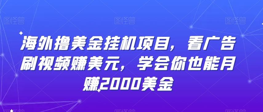 海外撸美金挂机项目，看广告刷视频赚美元，学会你也能月赚2000美金-简创项目网