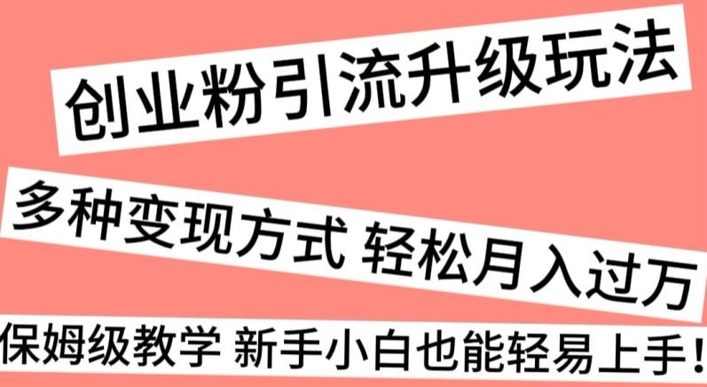 创业粉引流升级玩法，多种变现方式轻松月入过万，保姆级教学新手小白也能轻易上手！-简创项目网