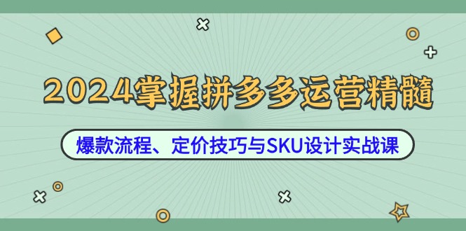 2024掌握拼多多运营精髓：爆款流程、定价技巧与SKU设计实战课-简创项目网