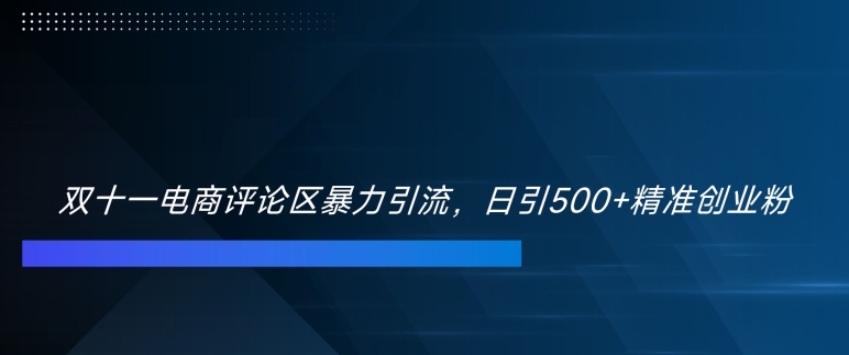 双十一电商评论区暴力引流，日引500+精准创业粉【揭秘】-简创项目网