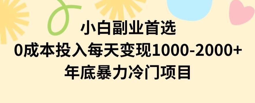 小白副业首选，0成本投入，每天变现1000-2000年底暴力冷门项目【揭秘】-简创项目网