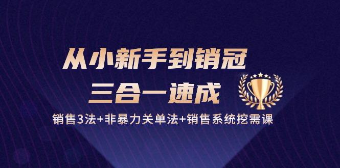 从小新手到销冠 三合一速成：销售3法+非暴力关单法+销售系统挖需课 (27节-简创项目网