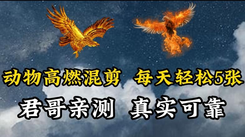 动物超燃混剪，每天轻松5张，剪辑简单大家爱看【揭秘】-简创项目网