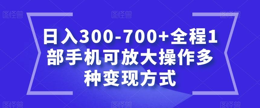 日入300-700+全程1部手机可放大操作多种变现方式【揭秘】-简创项目网