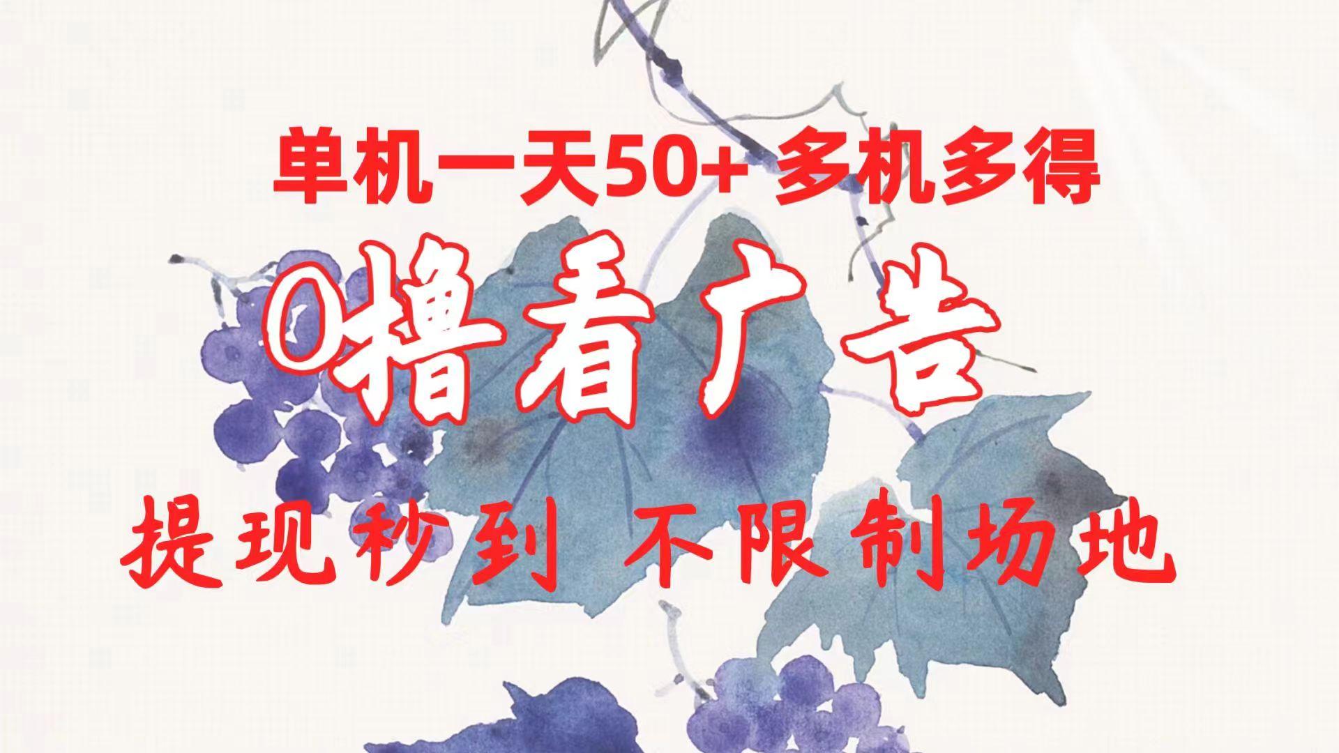 0撸看广告 单机一天50+多机多得 提现秒到 不限制场地操作-简创项目网