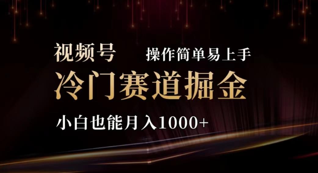 2024视频号冷门赛道掘金，操作简单轻松上手，小白也能月入1000+-简创项目网