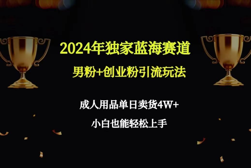 2024年独家蓝海赛道男粉+创业粉引流玩法，成人用品单日卖货4W+保姆教程-简创项目网