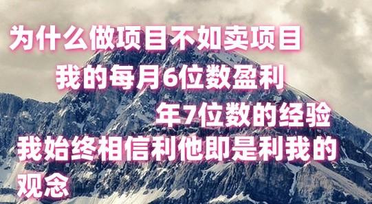 做项目不如卖项目，每月6位数盈利，年7位数经验-简创项目网