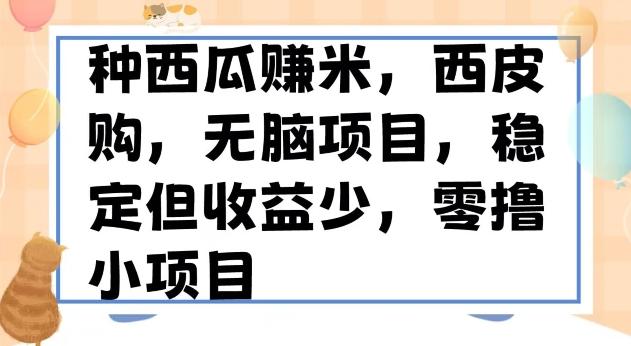 种西瓜赚米，西皮购稳定长久零撸小项目-简创项目网