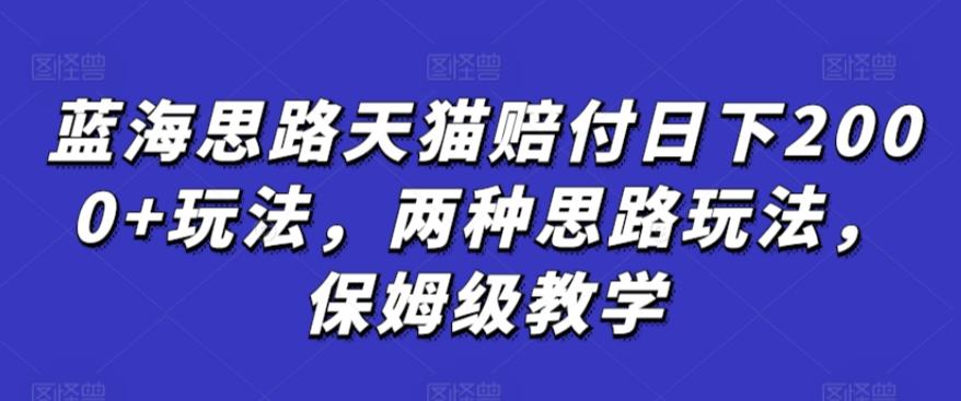 蓝海思路天猫赔付日下2000+玩法，两种思路玩法，保姆级教学【仅揭秘】-简创项目网