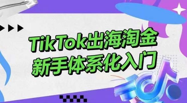 TikTok出海淘金，新手体系化入门，零基础快速入门，掌握短视频、直播带货等引流到变现的知识-简创项目网