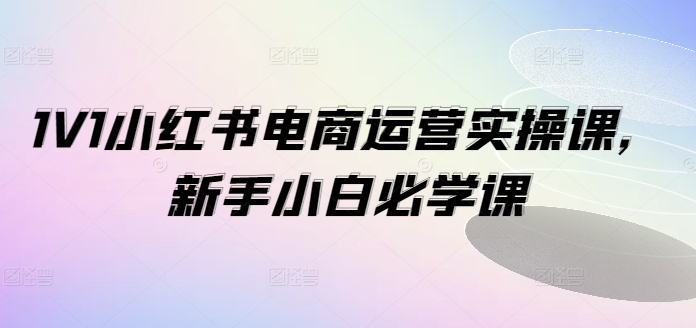 1V1小红书电商运营实操课，新手小白必学课-简创项目网