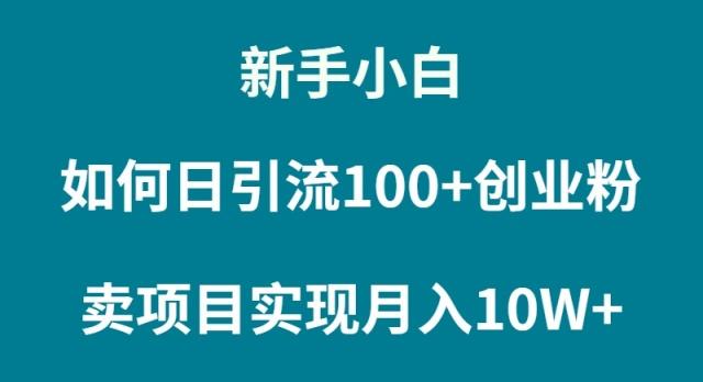 (9556期)新手小白如何通过卖项目实现月入10W+-简创项目网