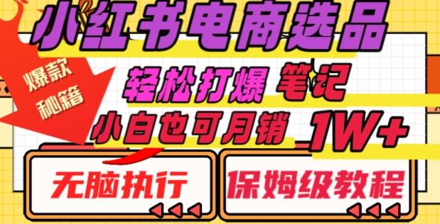 小红书电商爆款选品秘籍，帮你轻松打爆笔记，小白也可轻松月销10000+-简创项目网