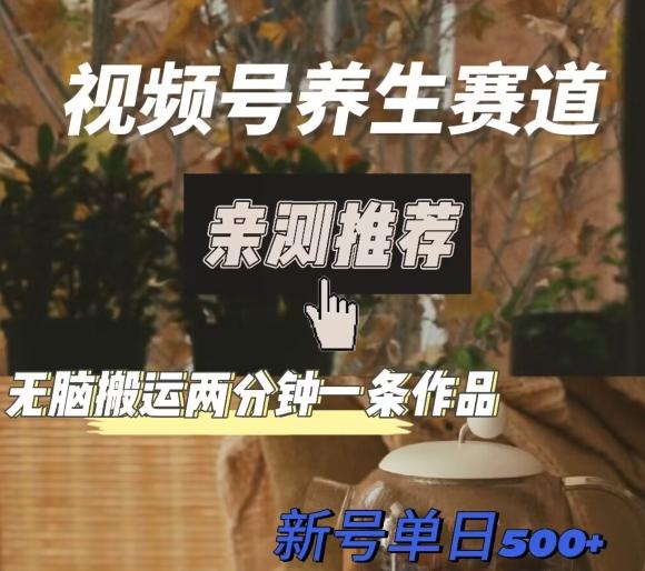 视频号养生赛道暴力掘金，无脑搬运，两分钟一条作品-新日单入500+-简创项目网