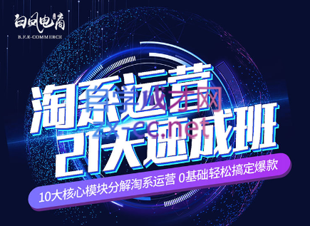淘系运营21天速成班(更新24年6月)-简创项目网