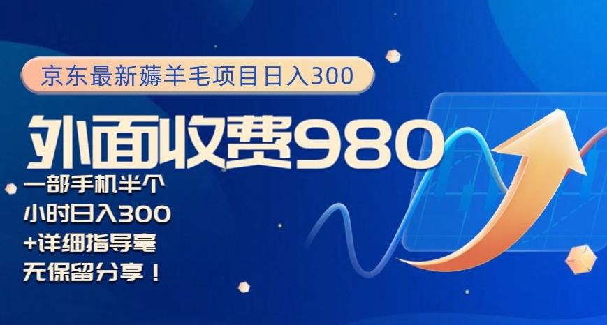 京东最新薅羊毛项目小白怎么做到日入300+一部手机半小时搞定-简创项目网