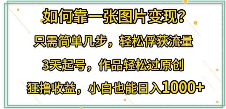 如何靠一张图片变现?只需简单几步，轻松俘获流量，3天起号，作品轻松过原创【揭秘】-简创项目网