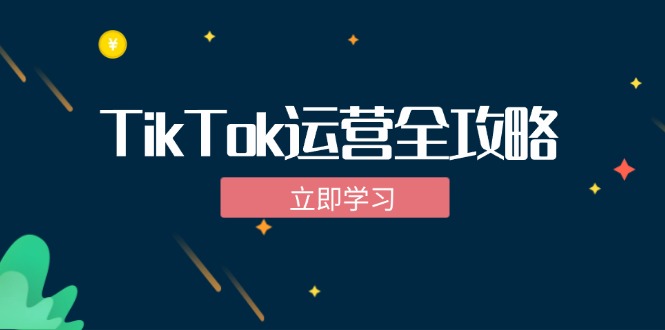 TikTok实战运营全攻略：从下载软件到变现，抖音海外版实操教程-简创项目网