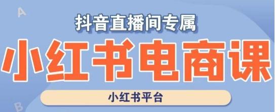 小红书电商高级运营课程，实操教学+案例分析-简创项目网
