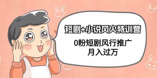 小说+短剧风火特训营，0粉短剧小说风行推广，实现月入过万-简创项目网