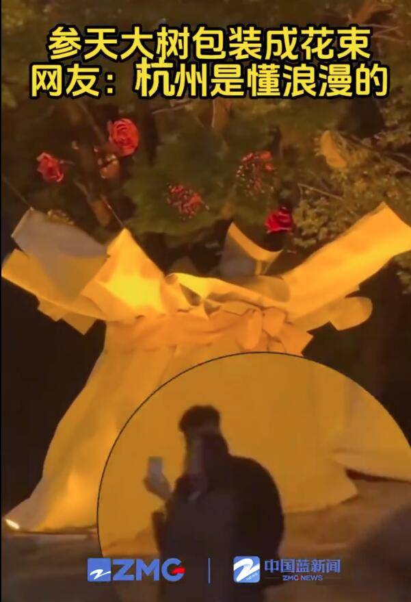 杭州参天大树被包装成巨型花束